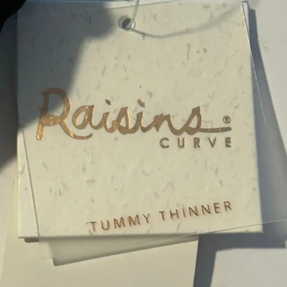 Raisins curve NWT black Keiora swimsuit bottoms size 22W - Picture 6 of 11
